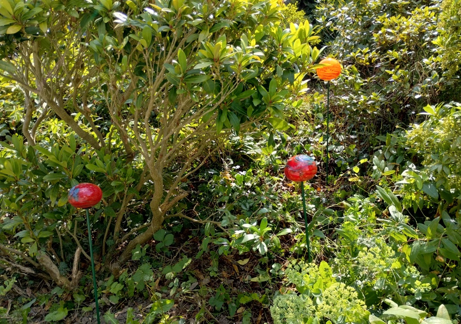 bollen in de natuur